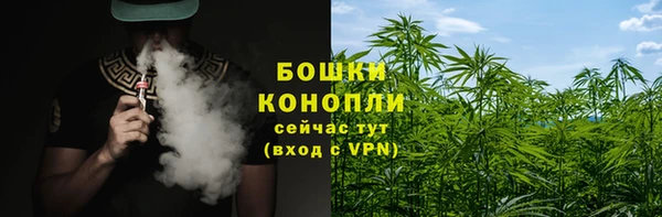соль ск Гусиноозёрск