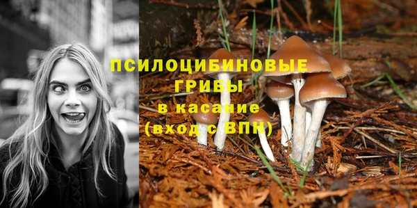 таблы Гусь-Хрустальный