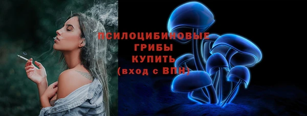 соль ск Гусиноозёрск