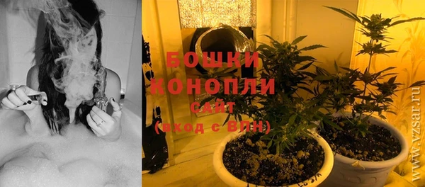 соль ск Гусиноозёрск
